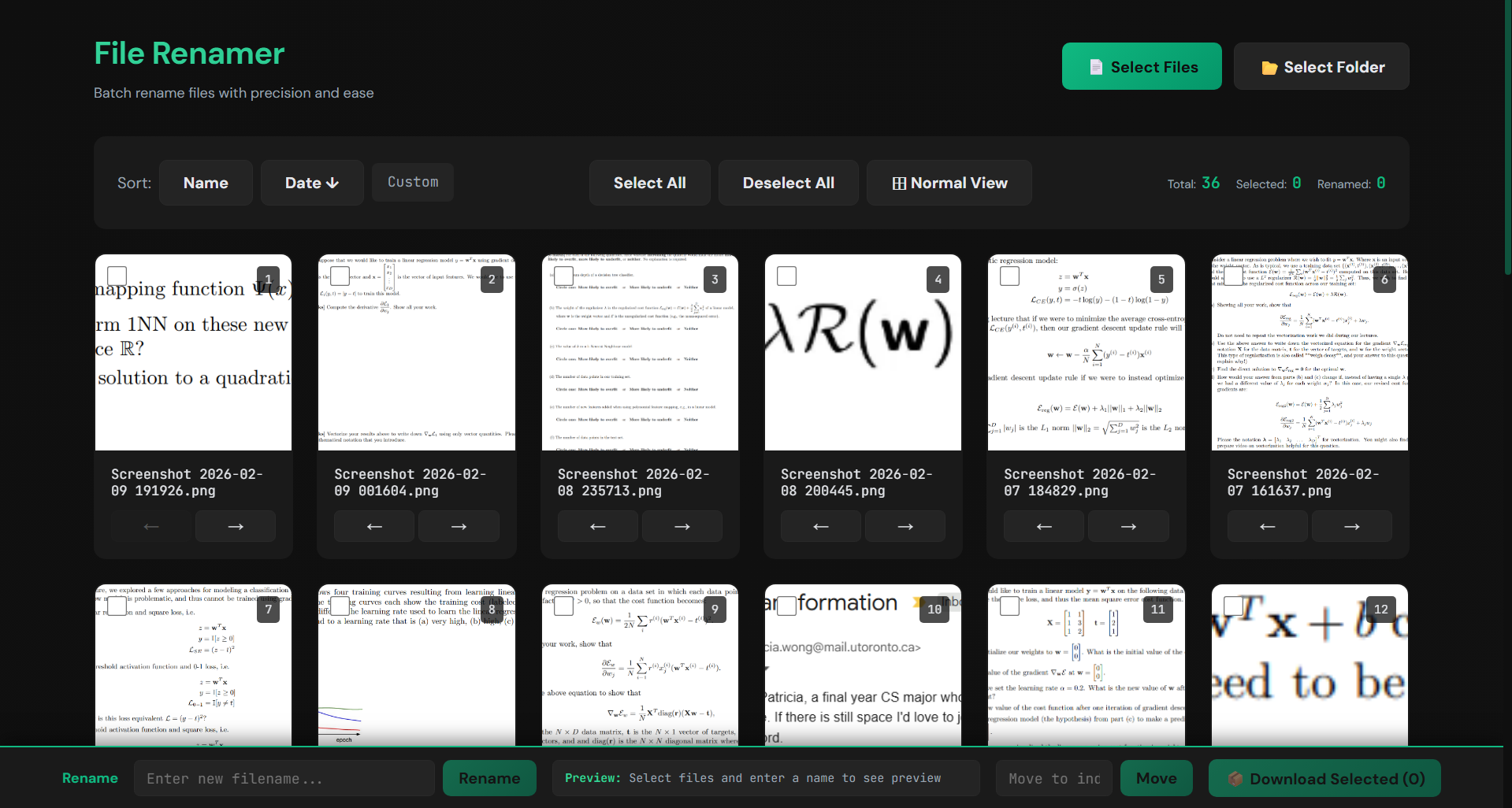 Bulk File Renamer preview